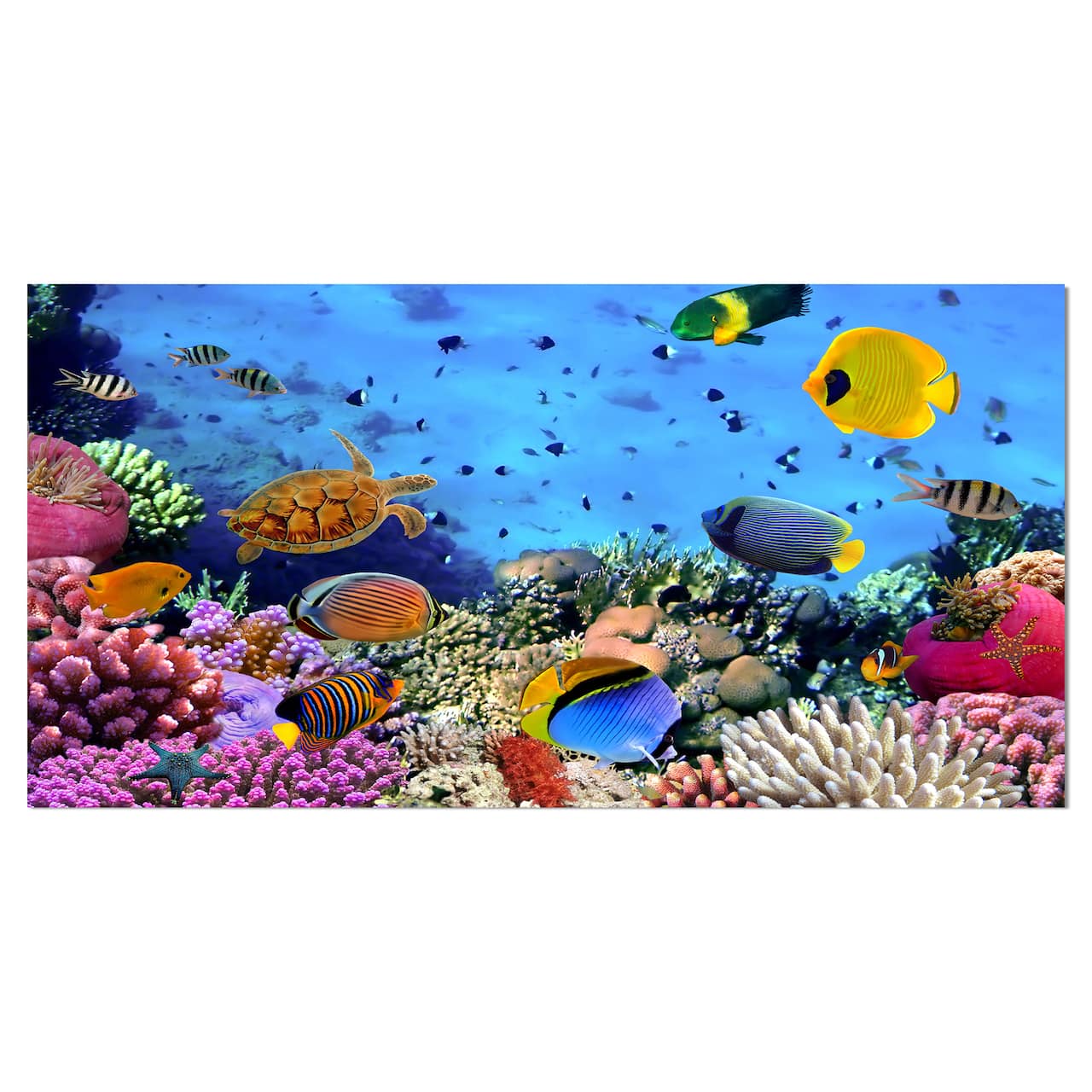 Designart - Coral Reef Coral Colony - Sea & Shore Nautical Photographic on wrapped Canvas